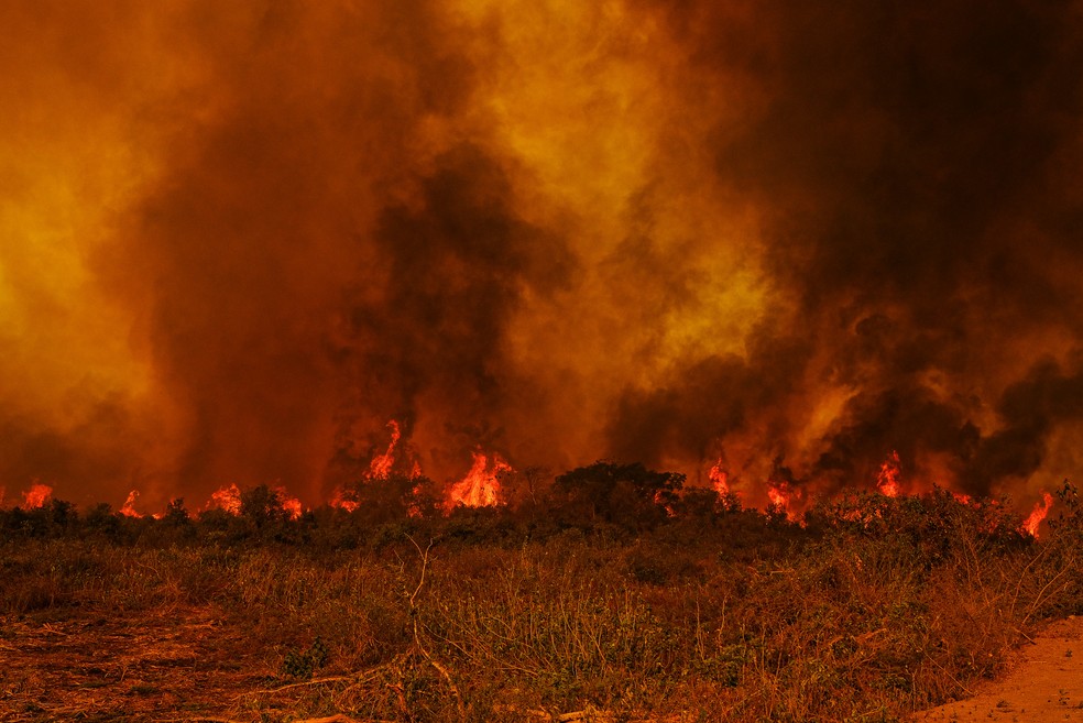 Podfast 088: Se a floresta arde, pode o governo nada fazer?