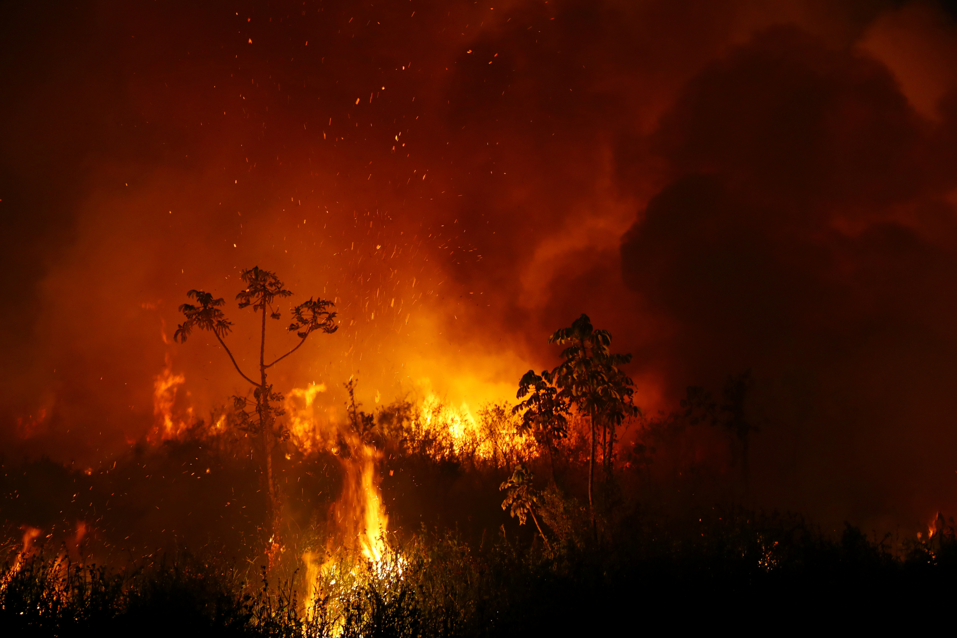 Podfast 068: Um Reino Unido de florestas queimadas em 18 anos. O que fazer?