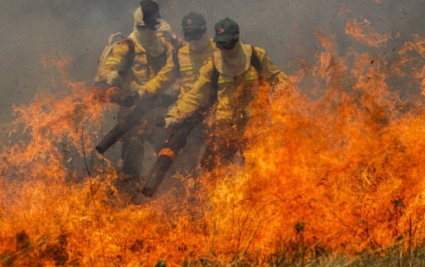 Mercado de carbono: estamos perdendo tempo e dinheiro